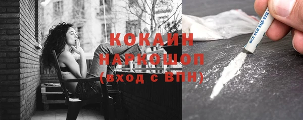 дживик Алексин