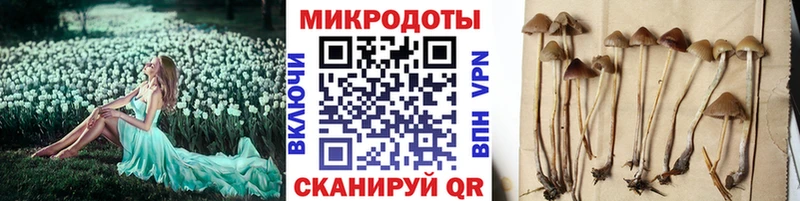 купить  сайты  Петровск  нарко площадка состав  Псилоцибиновые грибы ЛСД 